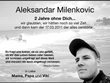 Aleksandar Milenkovic 17