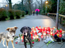 Amel und Hafsa München 10