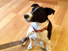 Amelie Wanda Worschech 17