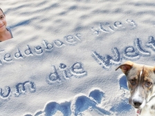 Andre Gleißner 126