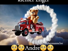 Andre Gleißner 168
