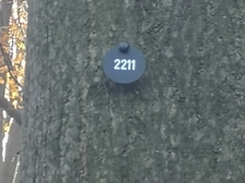 Andree Hoffmeister 3