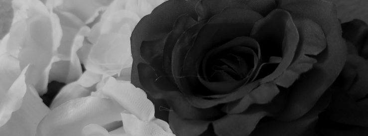 Stimmungsbild-Angela-Schatka-1