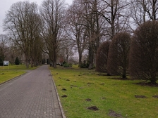 Angelika Niewöhner 18