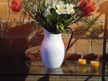 Angelika Niewöhner 35