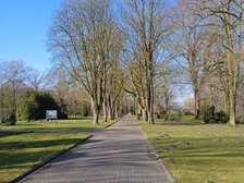 Angelika Niewöhner 49