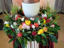 Angelika Niewöhner 56