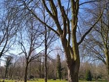 Angelika Niewöhner 64