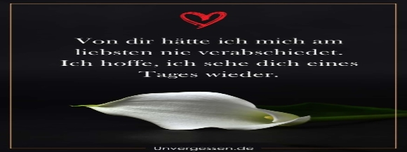 Stimmungsbild-Angelika-Singh-1