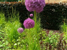 Angelika Stabenau 101