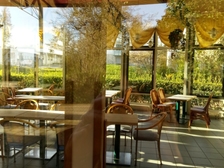 Angelika Stabenau 221