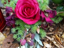 Angelika Stabenau 229