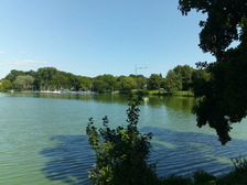 Angelika Stabenau 240