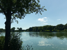 Angelika Stabenau 241