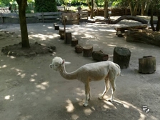 Angelika Stabenau 244