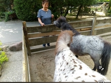 Angelika Stabenau 246