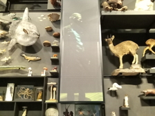 Angelika Stabenau 250