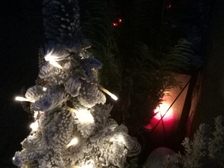 Angelika Stabenau 280