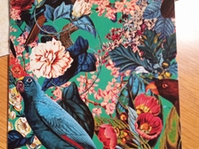 Angelika Stabenau 289