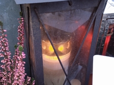 Angelika Stabenau 309