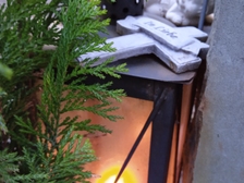 Angelika Stabenau 311