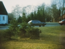 Angelika Stabenau 319