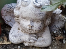 Angelika Stabenau 321