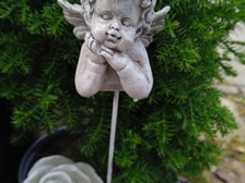 Angelika Stabenau 322