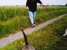 Angelika Stabenau 336