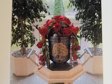 Angelika Stabenau 342