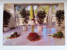 Angelika Stabenau 345