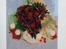 Angelika Stabenau 346