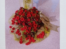 Angelika Stabenau 347