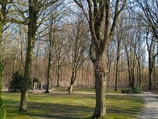 Angelika Stabenau 351