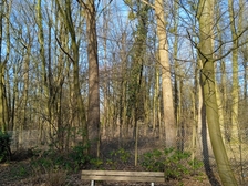 Angelika Stabenau 352