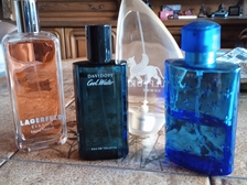 Angelika Stabenau 389