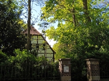 Angelika Stabenau 390