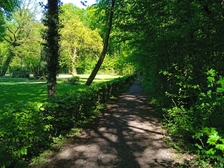 Angelika Stabenau 397