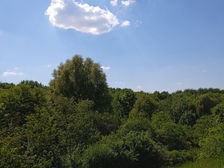 Angelika Stabenau 401