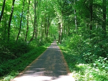 Angelika Stabenau 422