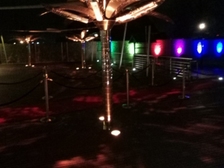 Angelika Stabenau 436