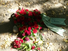 Angelika Stabenau 465