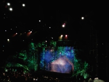 Angelika Stabenau 479