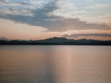 Angelika Stabenau 490