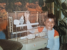 Angelika Stabenau 497