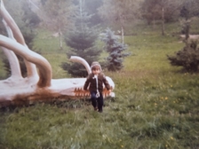 Angelika Stabenau 504