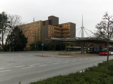 Angelika Stabenau 520