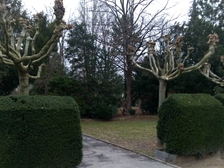 Angelika Stabenau 521