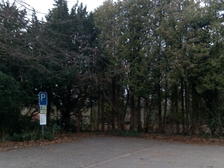 Angelika Stabenau 523