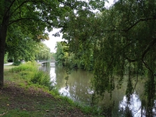 Angelika Stabenau 557